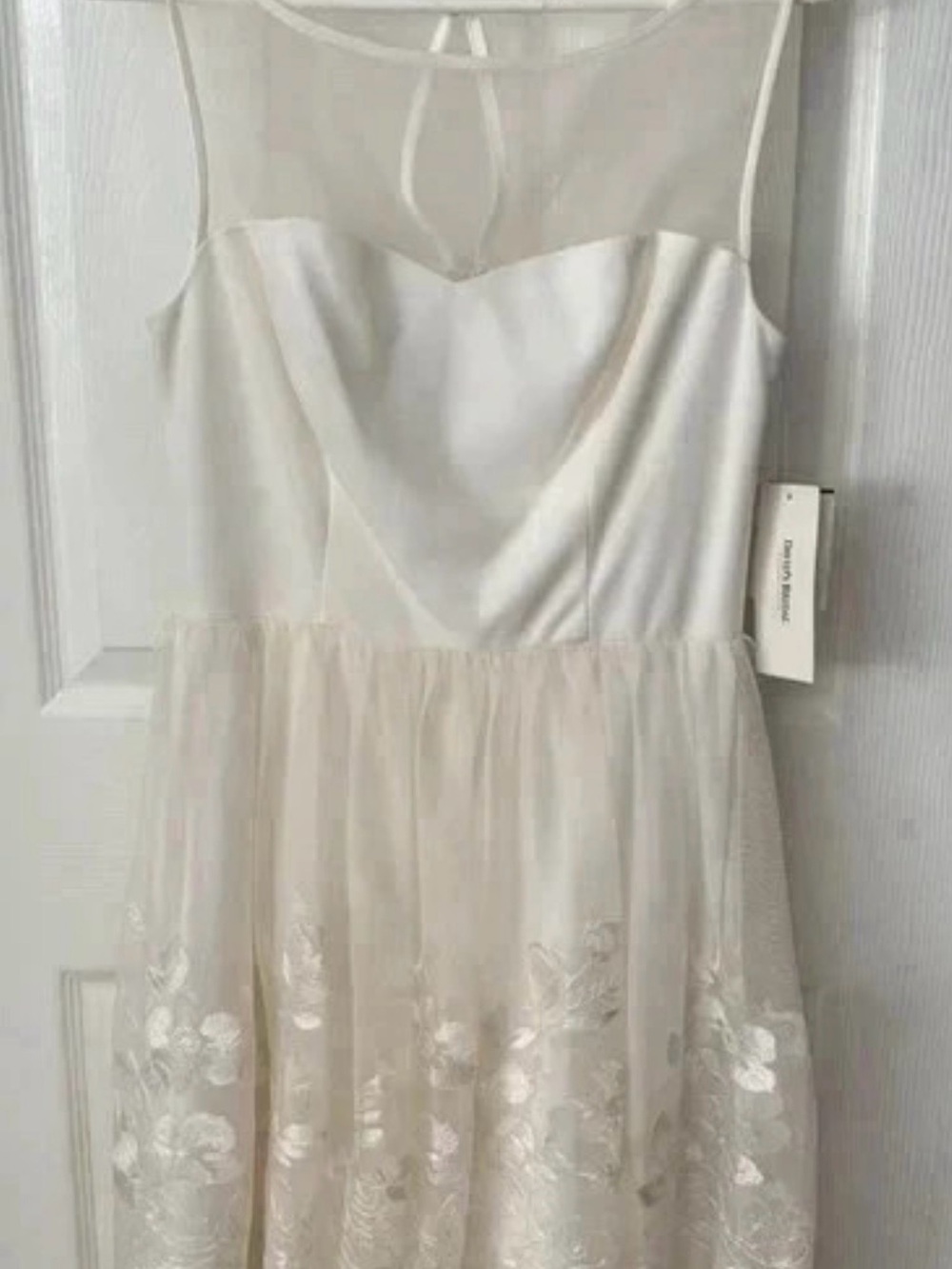 Sleeveless Tulle Dress with Floral Embroidery